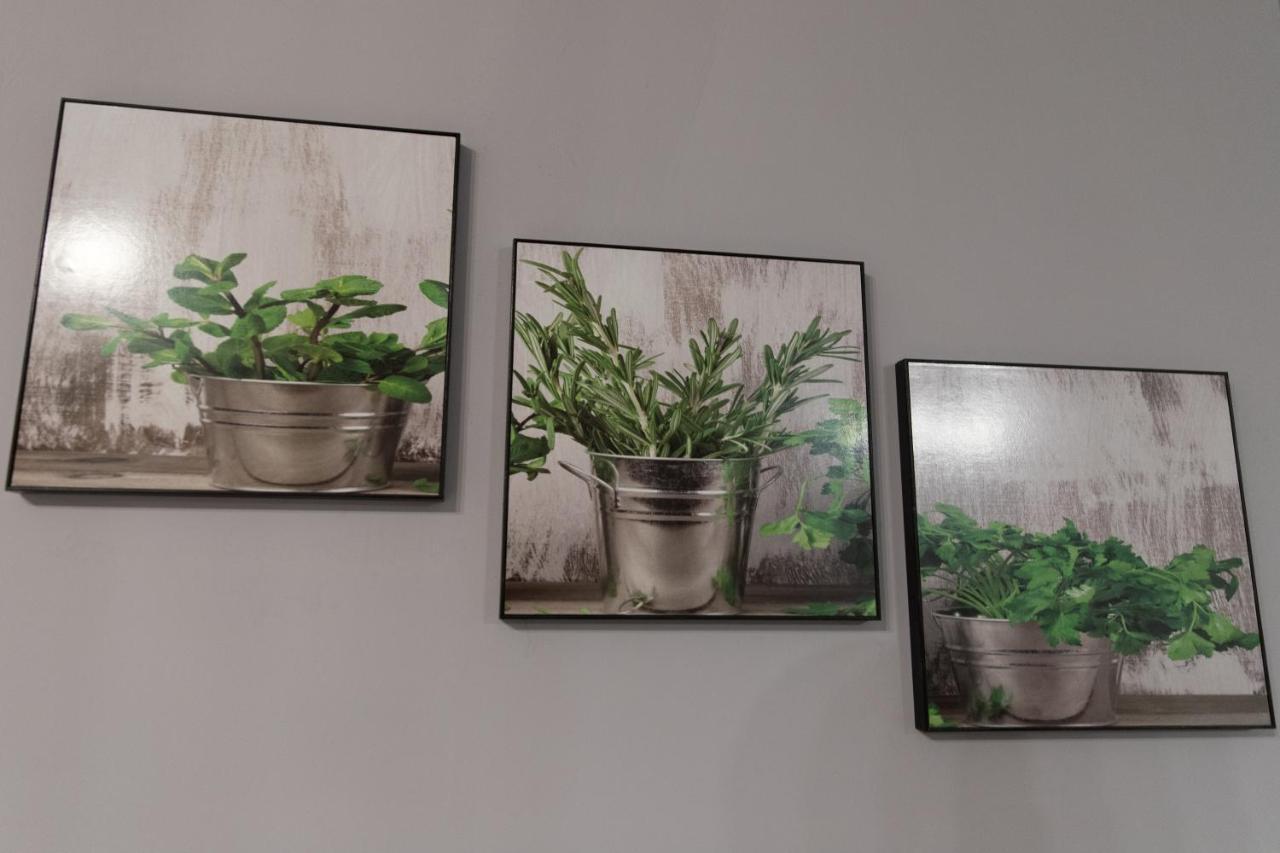 Apartament Marlenka ニサ エクステリア 写真